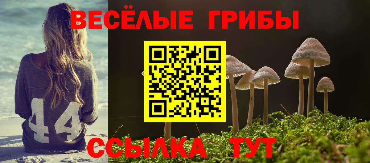 Псилоцибиновые грибы Psilocybine cubensis Каменск-Уральский