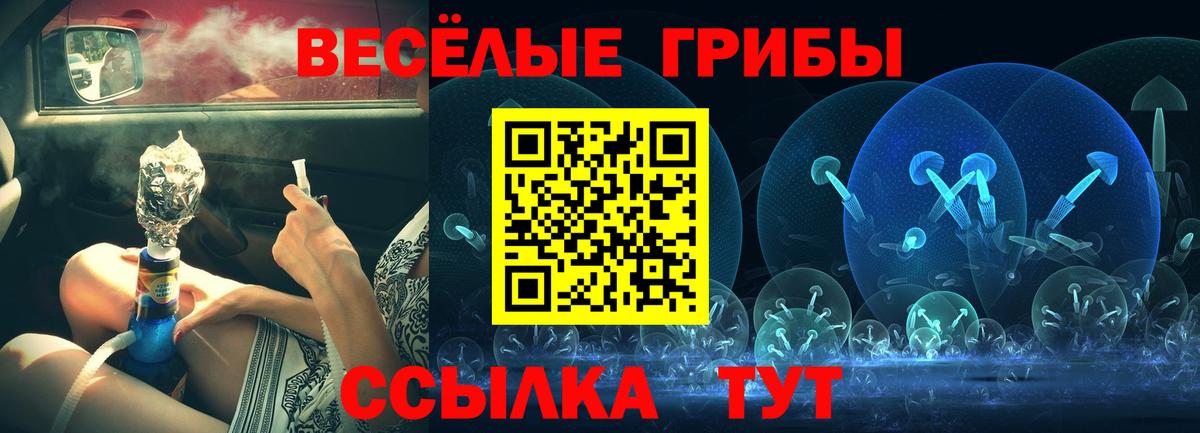 что такое   Вход с VPN  Каменск-Уральский  Псилоцибиновые грибы мицелий 